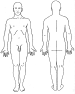 cuerpo masculino completo. ant-post